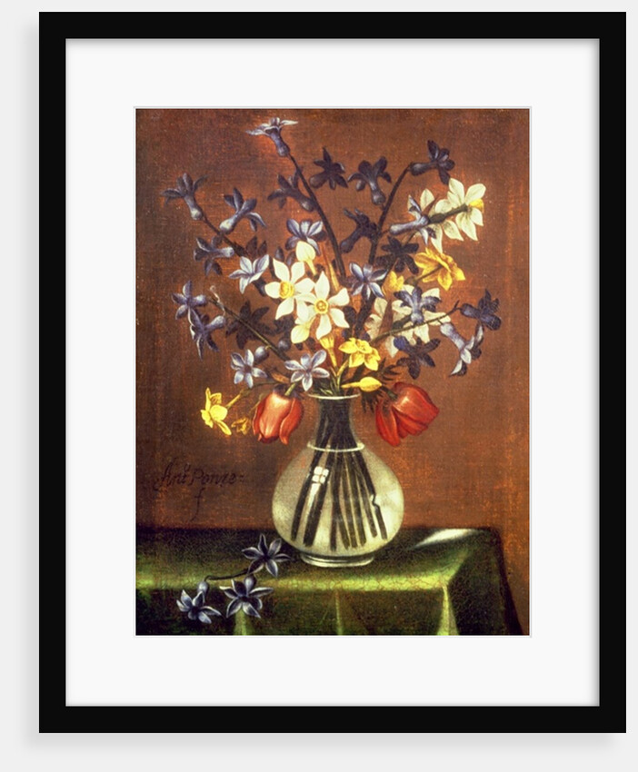 Still Life of Flowers including Hyacinth, Tulips and Pheasant Eye by Antonio Ponce