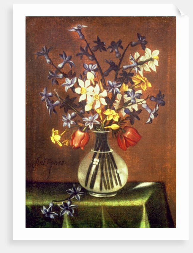 Still Life of Flowers including Hyacinth, Tulips and Pheasant Eye by Antonio Ponce