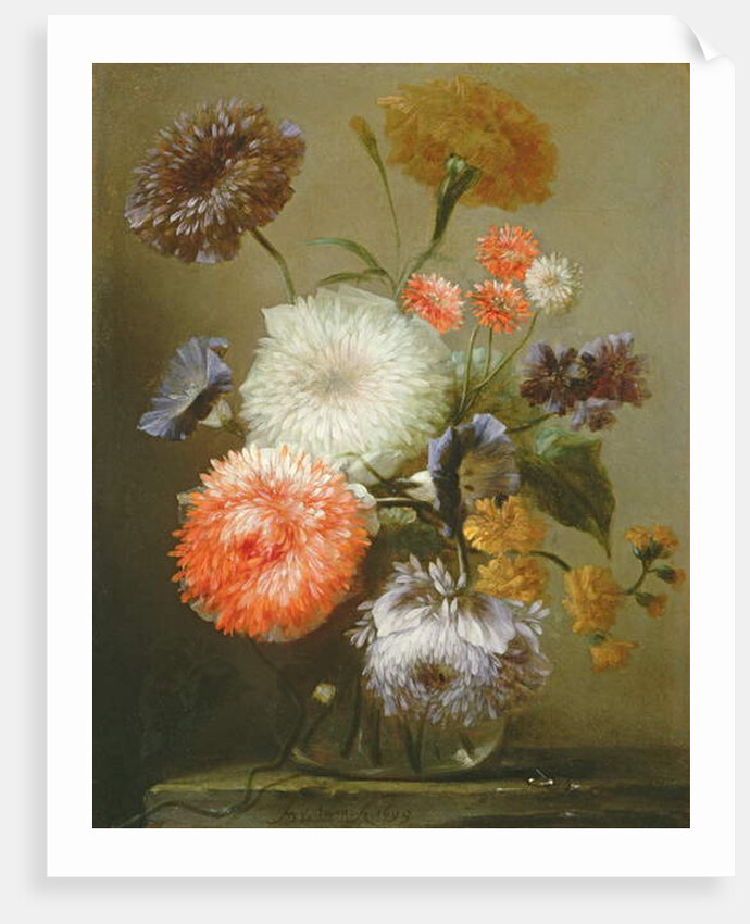 Still Life of Flowers, 1699 by Franz Werner Tamm