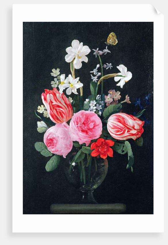 Roses, Narcissi, Tulips and other Flowers by Christiaan Luykx or Luycks
