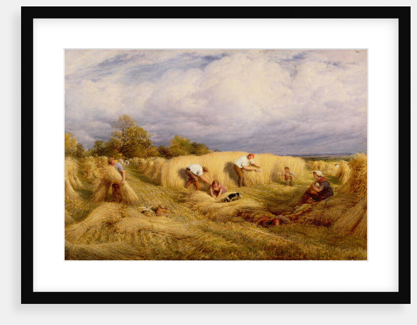 Harvesters, 1855 by John Linnell