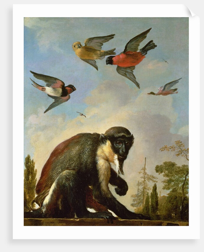 Chained monkey in a landscape by Melchior de Hondecoeter