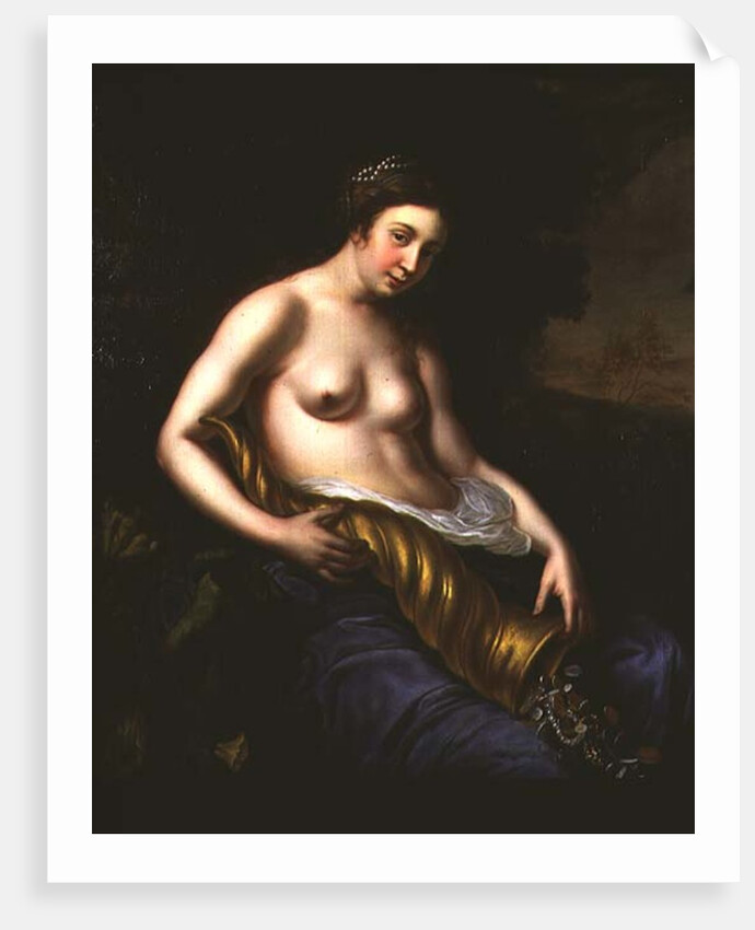 Allegory of Abundance, 1651 by Carel van Savoy