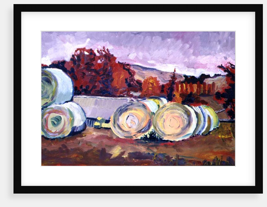 Haybales, Scotland, 1996 by Robert Hobhouse