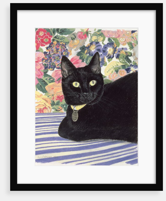 Black Cat by Anne Robinson