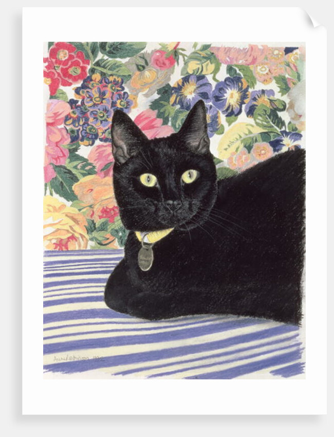 Black Cat by Anne Robinson
