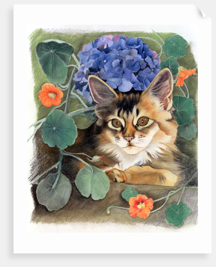 Sootsy with Hydrangea by Anne Robinson