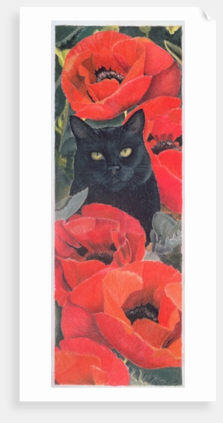 Black Cat with Poppies by Anne Robinson