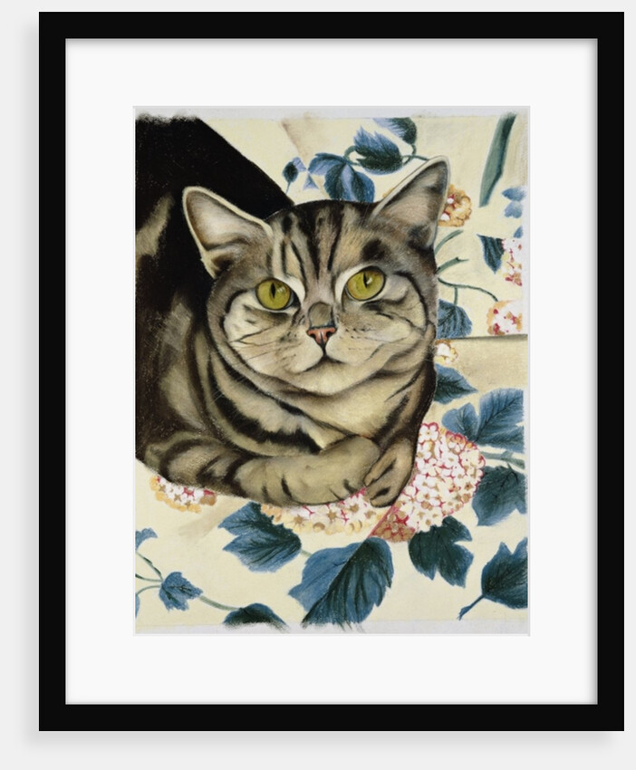 Tabby cat by Anne Robinson