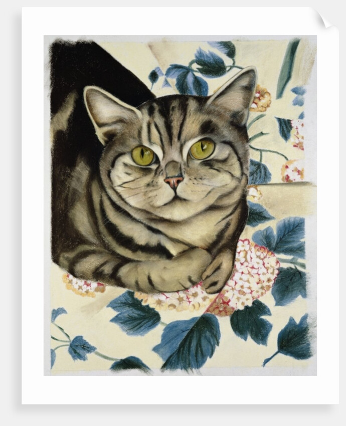 Tabby cat by Anne Robinson