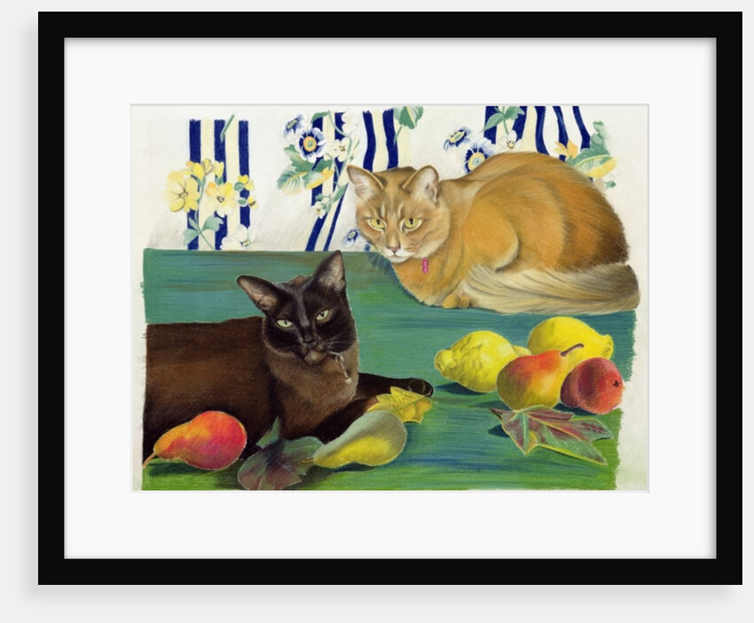 Cats with fruit by Anne Robinson