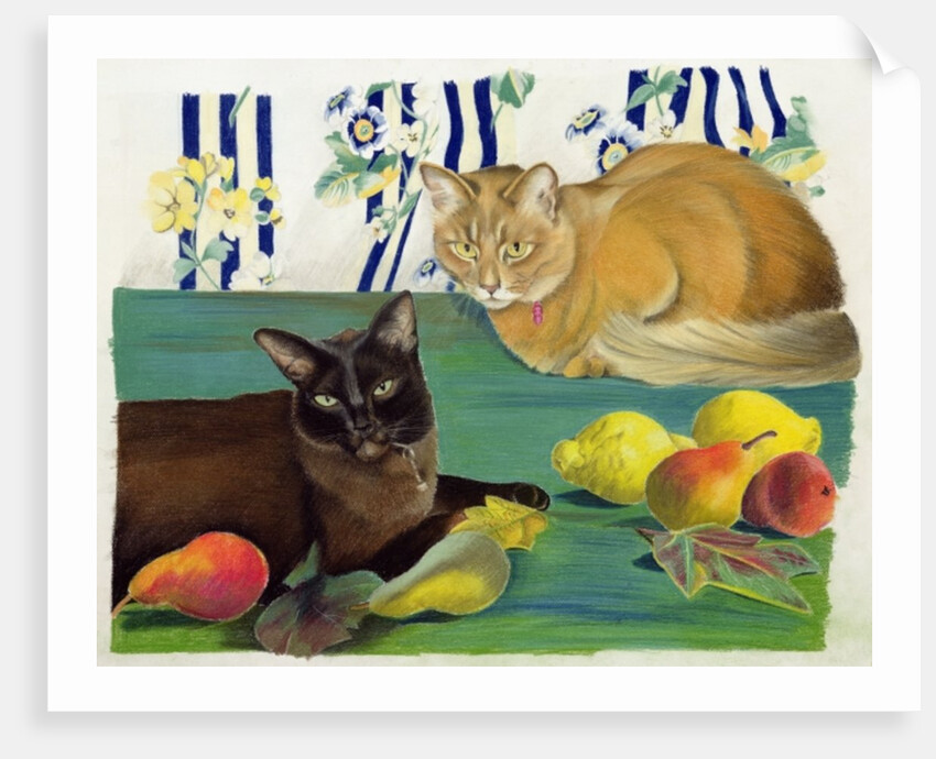 Cats with fruit by Anne Robinson