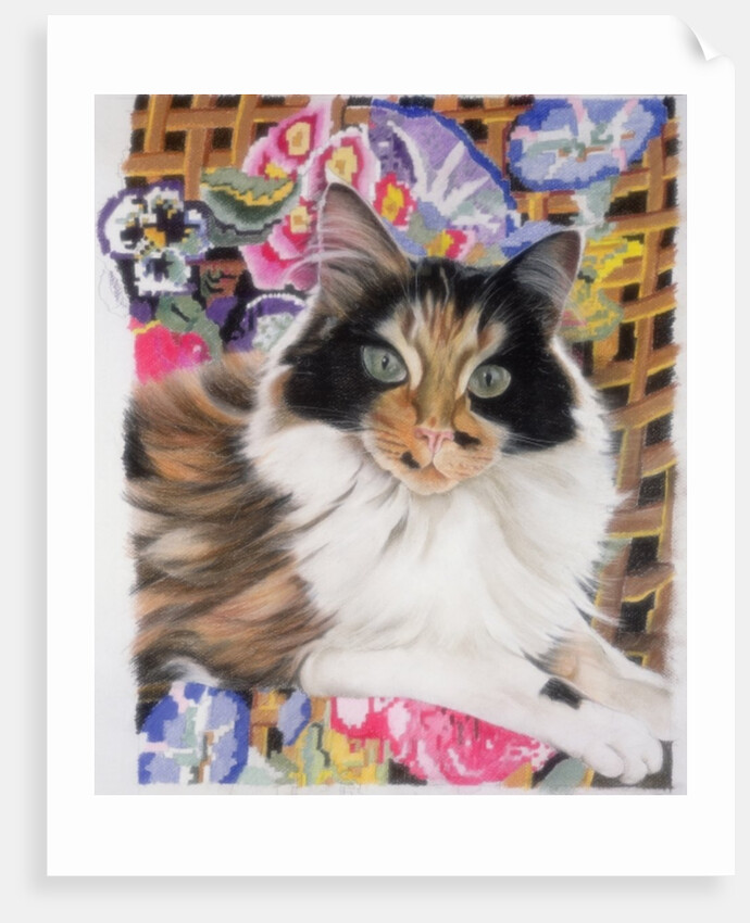 Cleo by Anne Robinson