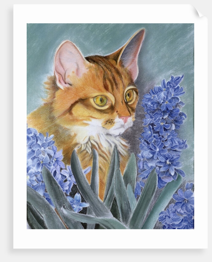 Tosca by Anne Robinson