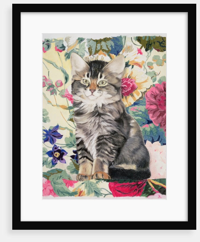 Sitting pretty by Anne Robinson