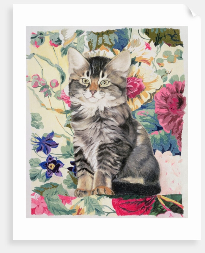 Sitting pretty by Anne Robinson