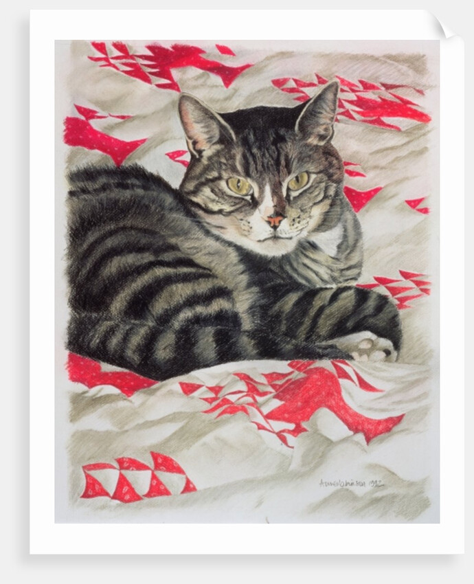 Cat on quilt by Anne Robinson
