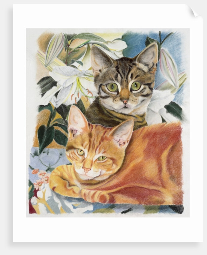 Pepper and Salt by Anne Robinson