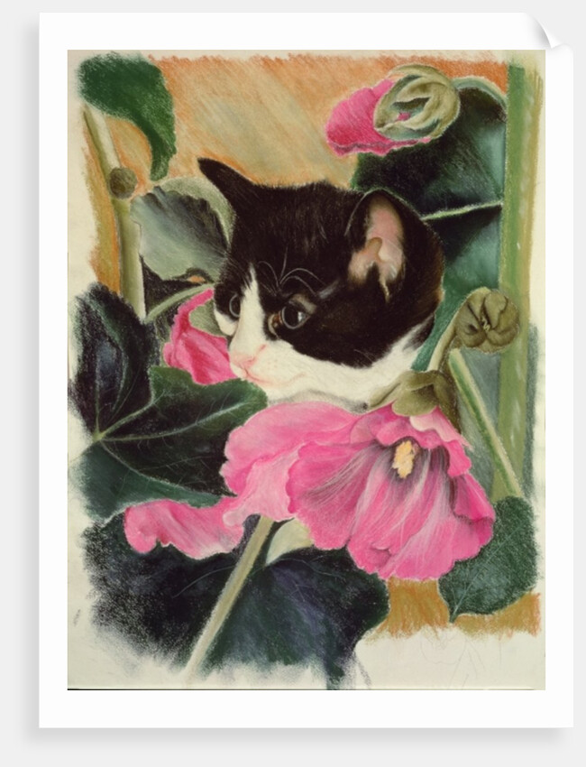 Kitten and hollyhocks by Anne Robinson