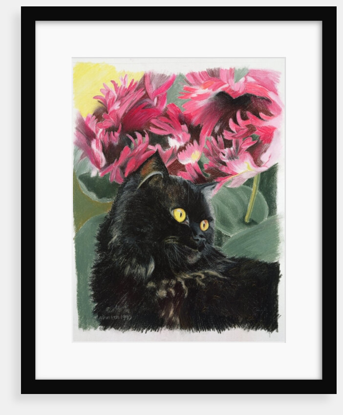 Black tulips by Anne Robinson