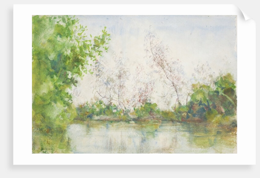 Mangrove Swamp, 1924 by Henry Scott Tuke