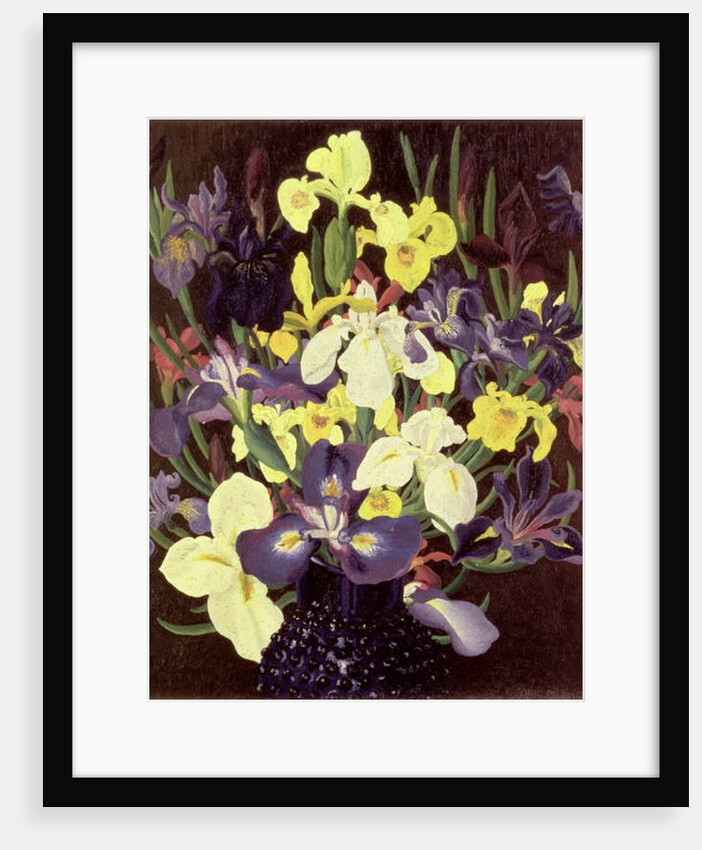 Group of Irises, c.1940 by Cedric Morris
