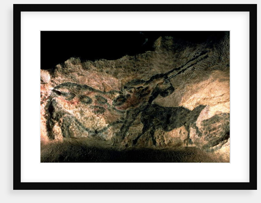 Rock painting of a horned animal, c.17000 BC by Prehistoric Prehistoric