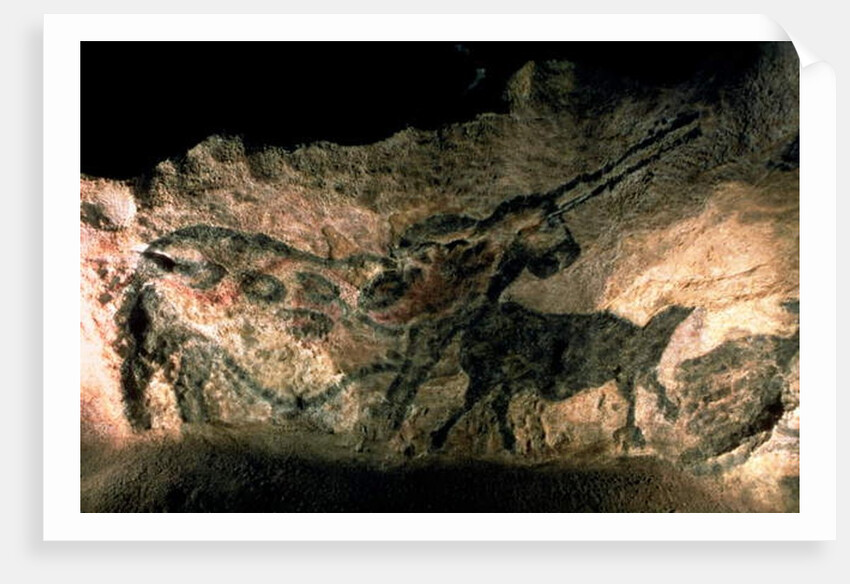 Rock painting of a horned animal, c.17000 BC by Prehistoric Prehistoric