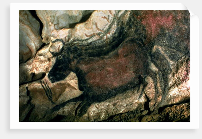 Rock painting of a black bull, c.17000 BC by Prehistoric Prehistoric