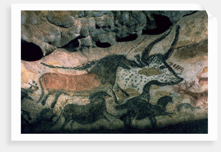 Rock painting of a bull and horses, c.17000 BC by Prehistoric Prehistoric