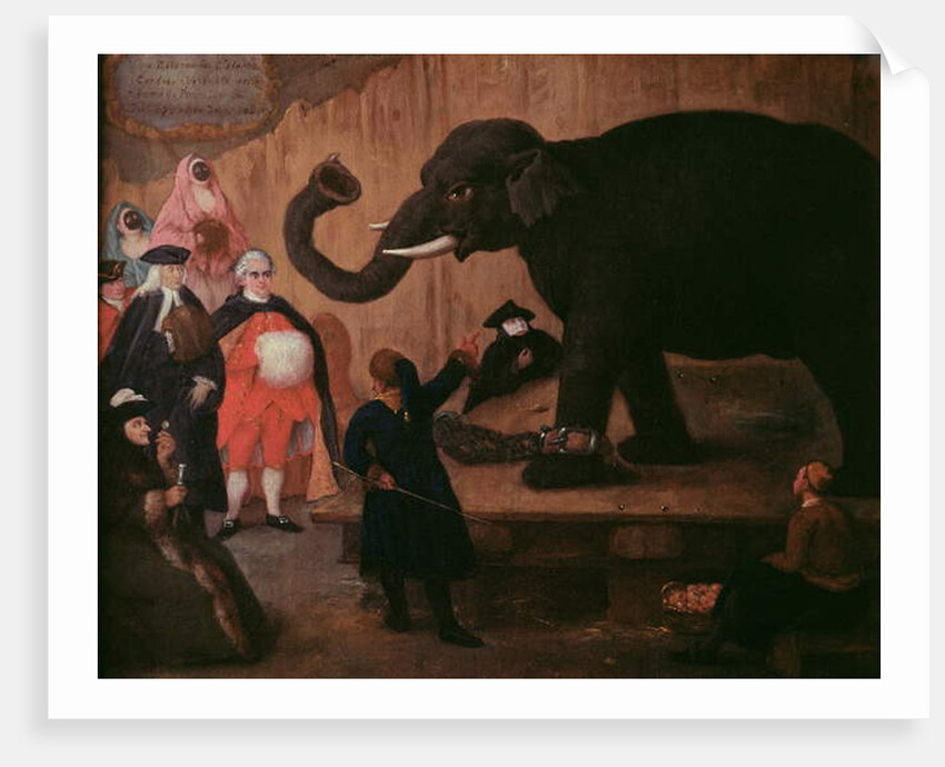 An Elephant Shown in Venice by Pietro Longhi