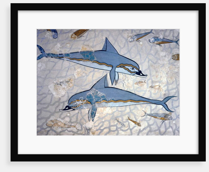 Dolphins by Greek Greek