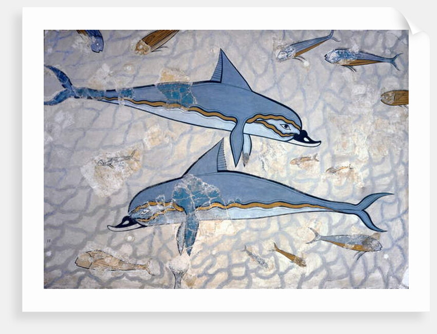 Dolphins by Greek Greek