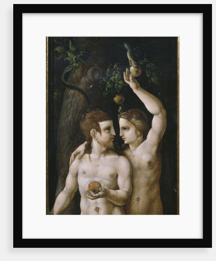 Triptych of the Creation, Adam and Eve, left panel by German School