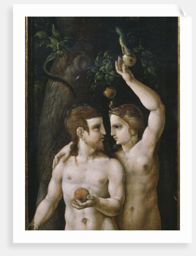Triptych of the Creation, Adam and Eve, left panel by German School