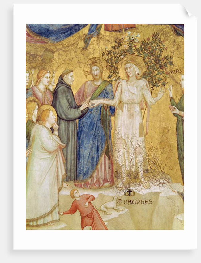 Christ blesses the Mystic Marriage of St. Francis with Poverty, 1330 by Giotto