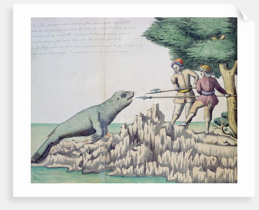 Sea Lion near the Strait of Magellan by French School