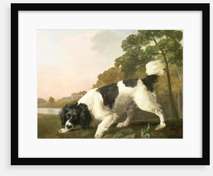 A Spaniel in a Landscape, 1771 by George Stubbs