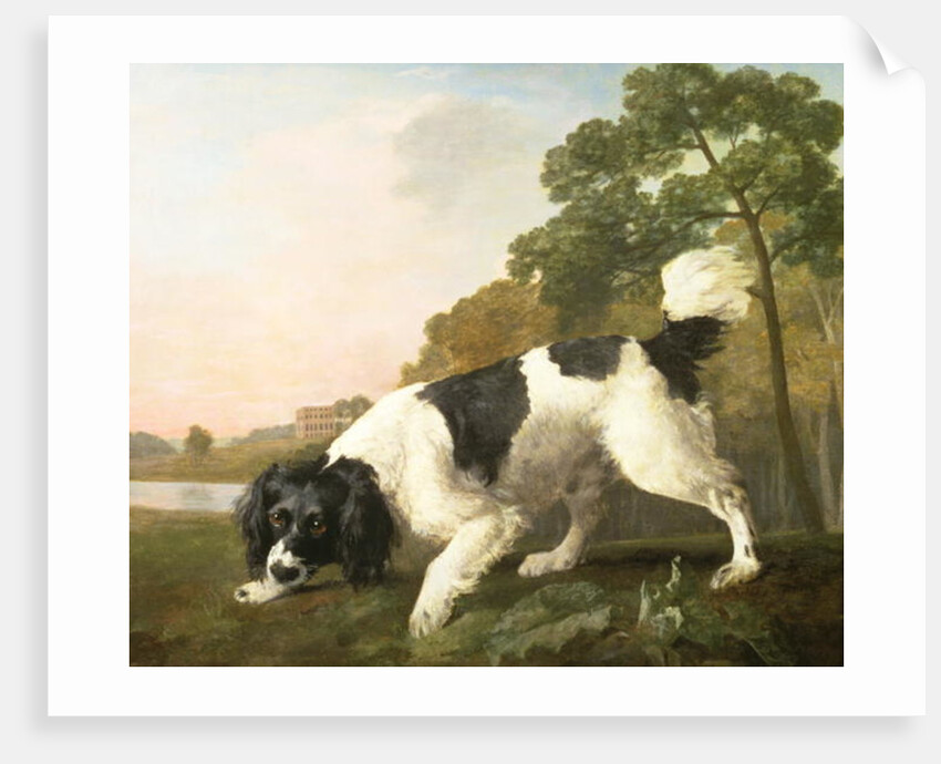 A Spaniel in a Landscape, 1771 by George Stubbs