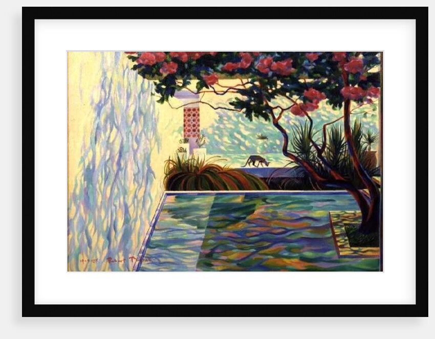 Cat in a Mexican Garden by Robert Tyndall