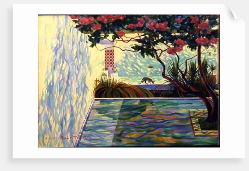 Cat in a Mexican Garden by Robert Tyndall