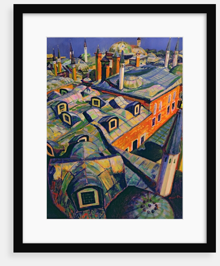 Islamic Roofs by Robert Tyndall