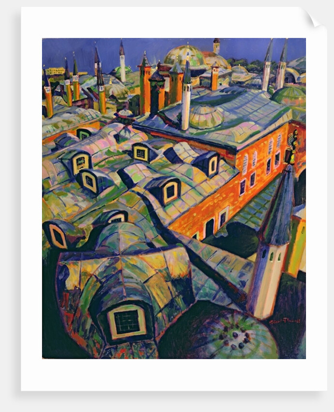 Islamic Roofs by Robert Tyndall