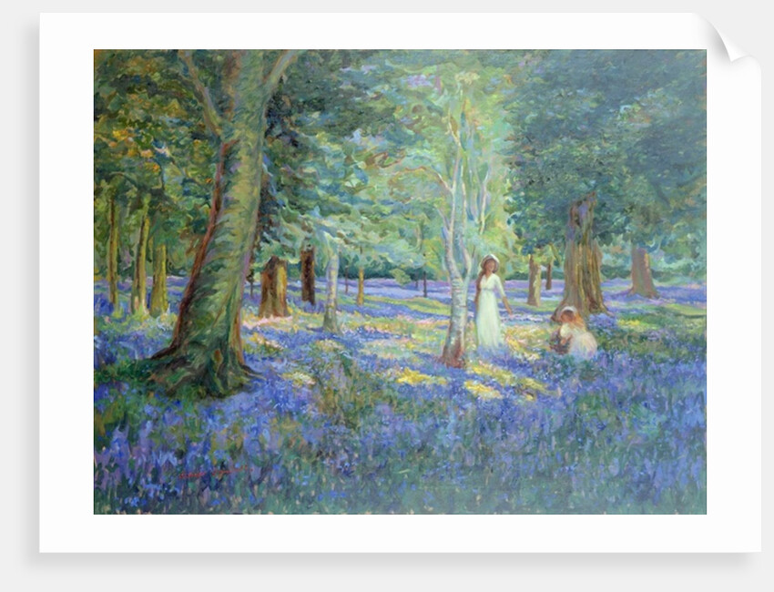 Bluebell Wood, 1908 by Robert Tyndall