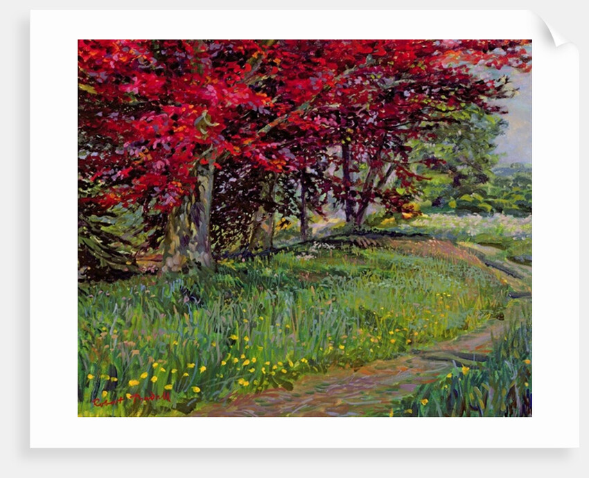 Copper Beeches, New Timber, Sussex by Robert Tyndall