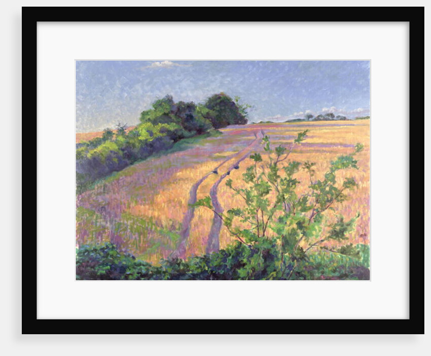 Golden Summer by Robert Tyndall