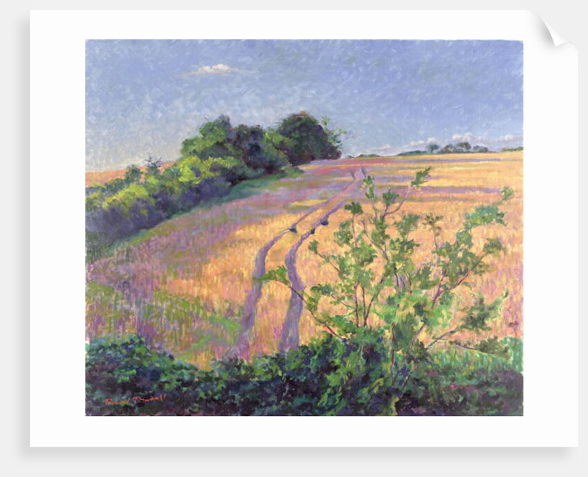 Golden Summer by Robert Tyndall