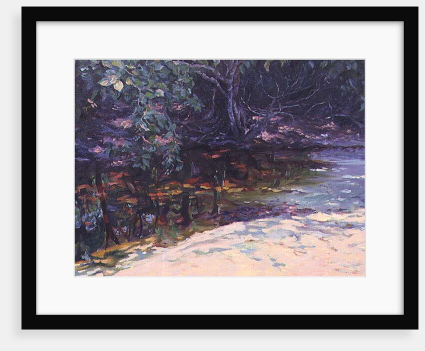 Beach and Rain Forest, Cape Tribulation, Northern Queensland, Australia by Robert Tyndall