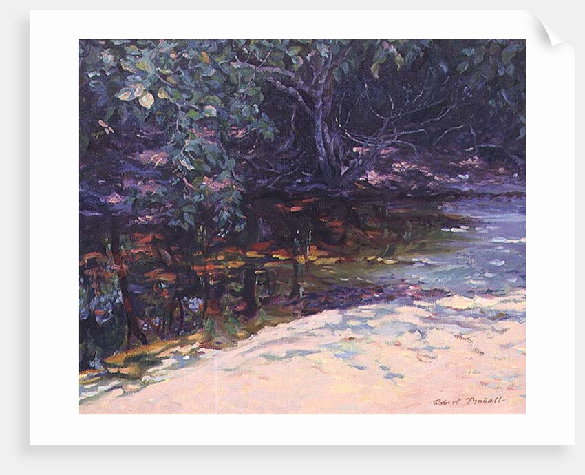 Beach and Rain Forest, Cape Tribulation, Northern Queensland, Australia by Robert Tyndall