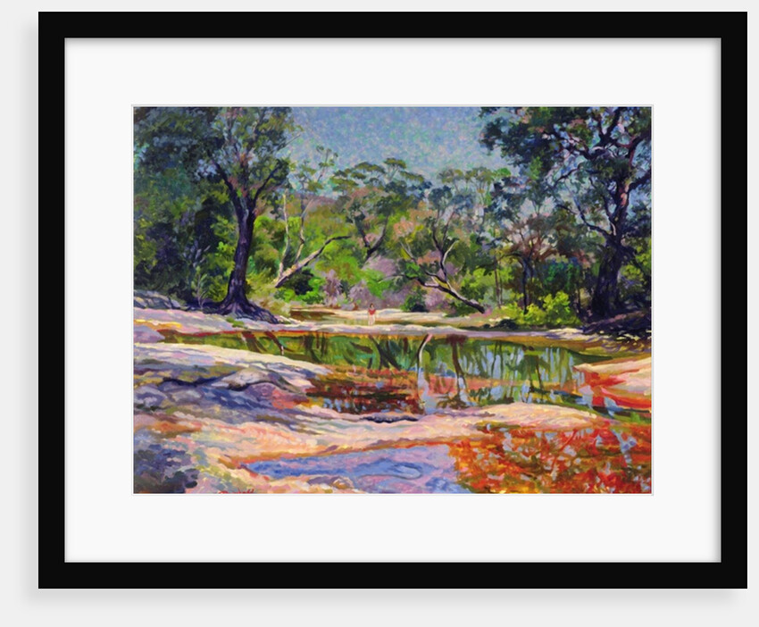Wirreanda Creek, New South Wales, Australia by Robert Tyndall